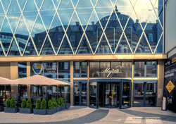  my zeil