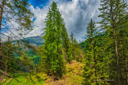  heiligenblut