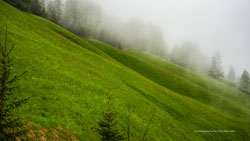  heiligenblut nebel